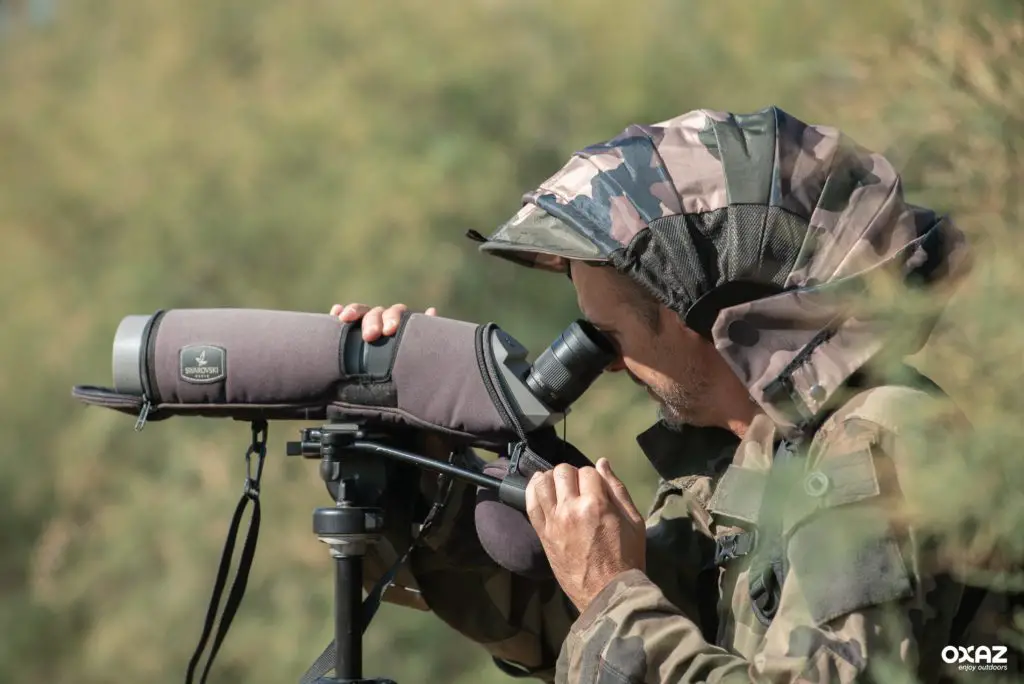 Longue vue swarovski pour l'observation des oiseaux