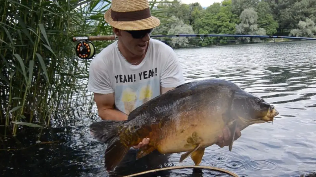 Luc MALBOIS avec une carpe lors d'une session pêche à la mouche