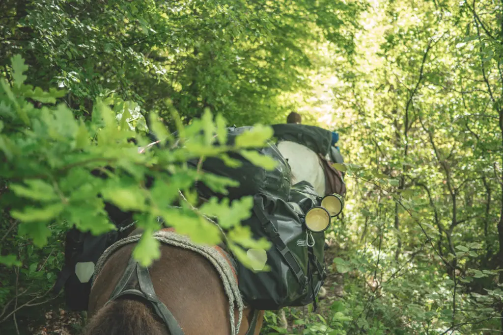 Notre équipement pour les 2 mois de la traversée à cheval de l'Albanie