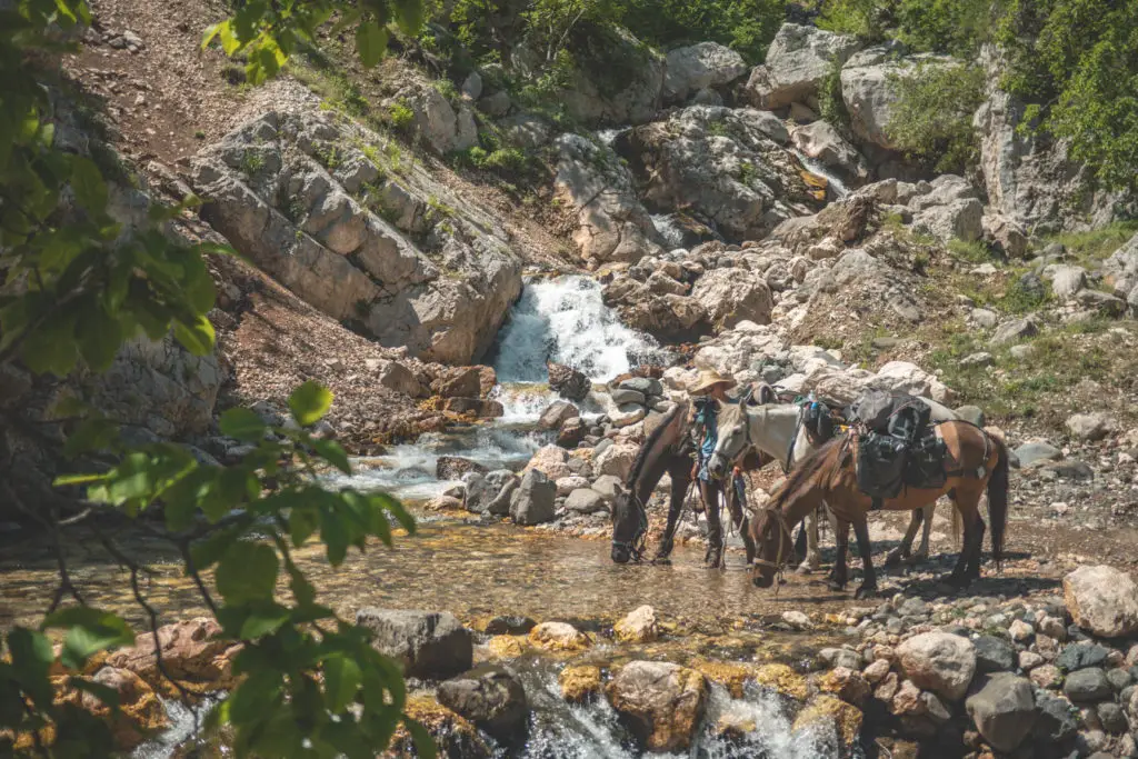 Pause au bord d'une rivière en albanie pour faire boire nos chevaux