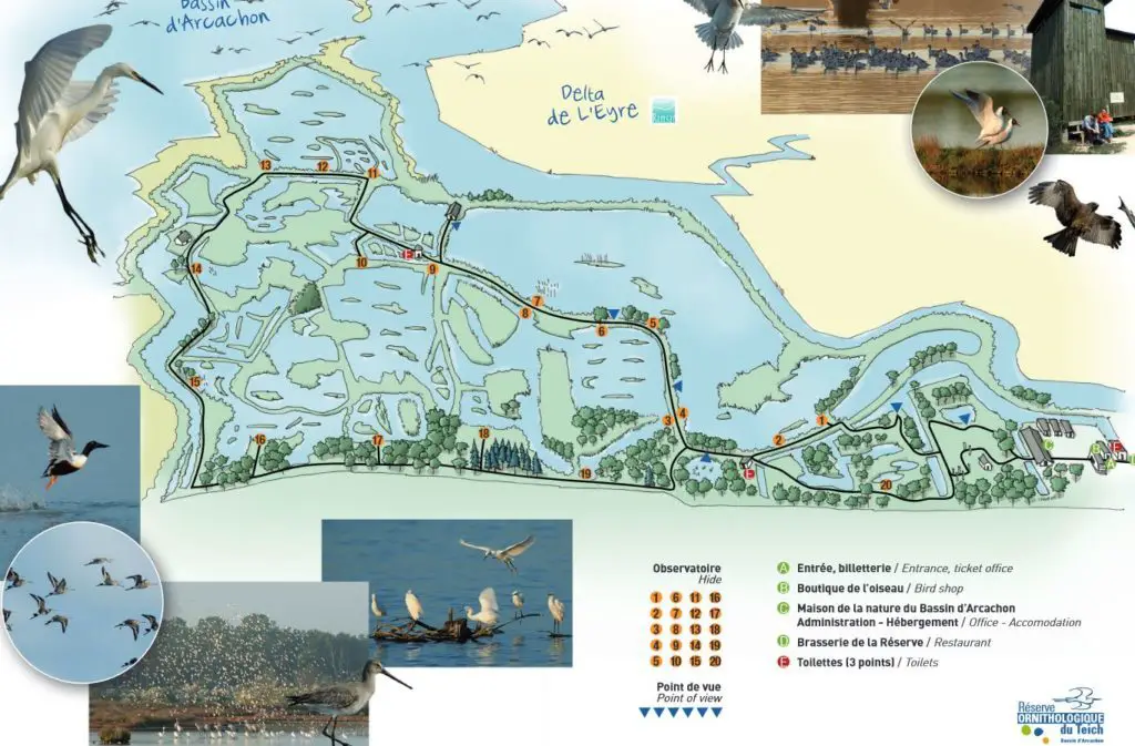 Plan de la Réserve Ornithologique du Teich près du bassin d’Arcachon