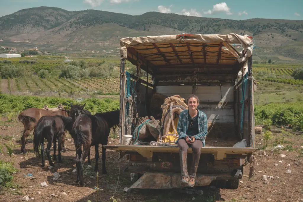 Recherche de chevaux dans le Sud de l’Albanie à Konispol