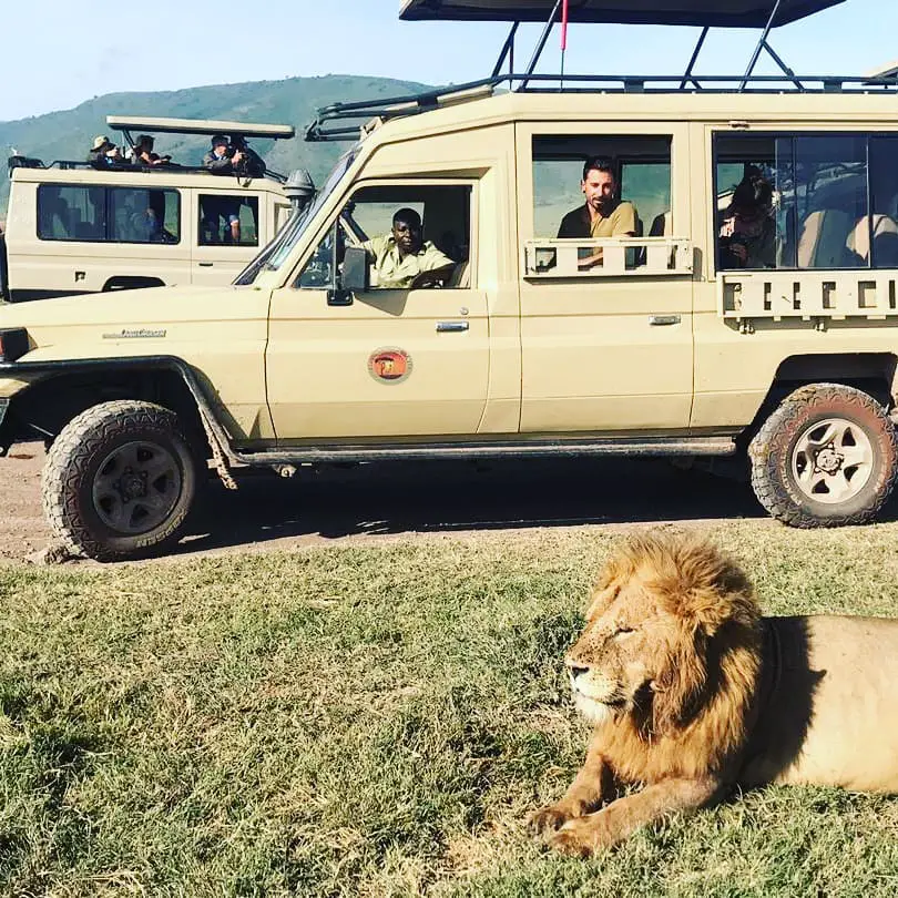 Safari animalier en Tanzanie et Kenya