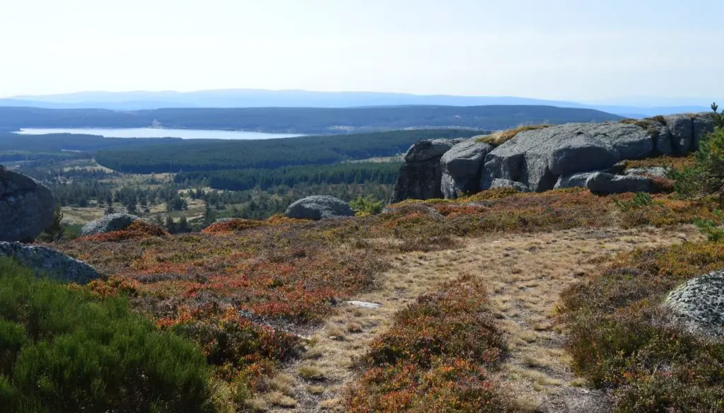 Visitez l'aubrac lors d'un séjours en pleine nature 