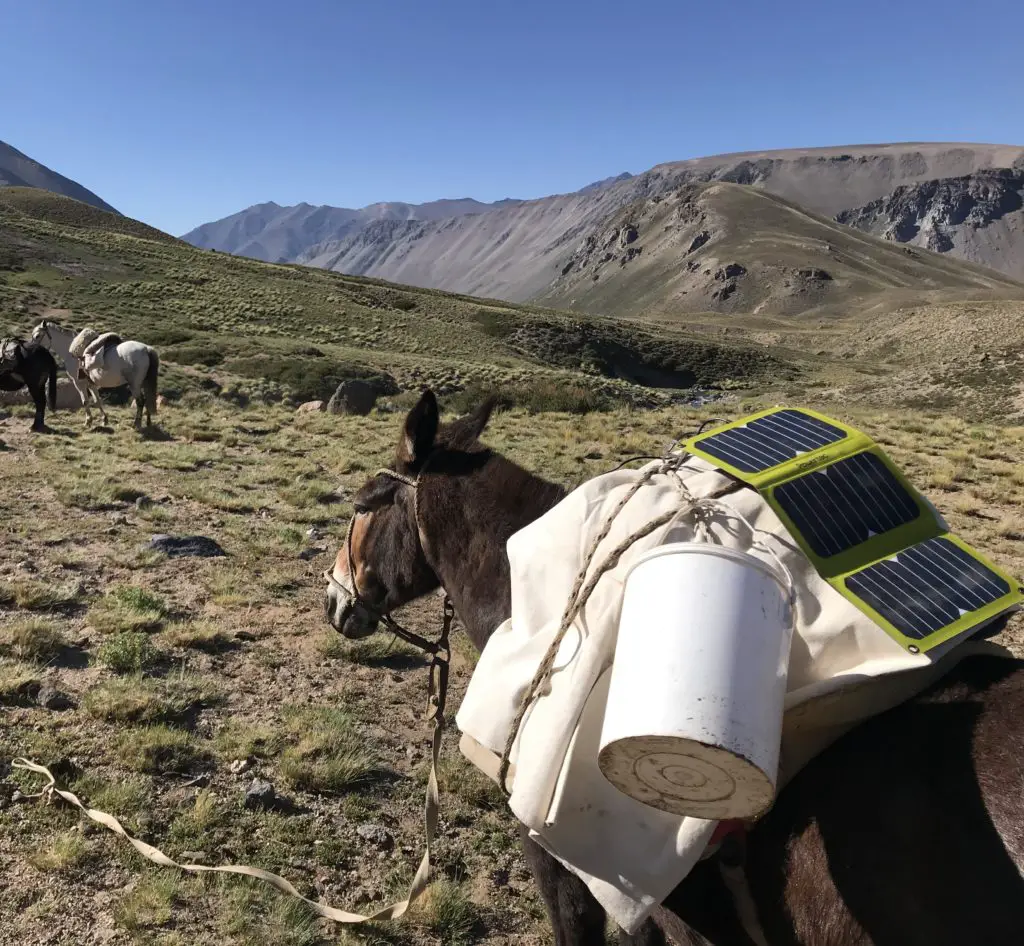 3 jours de Randonnée à cheval avec mules en Argentine