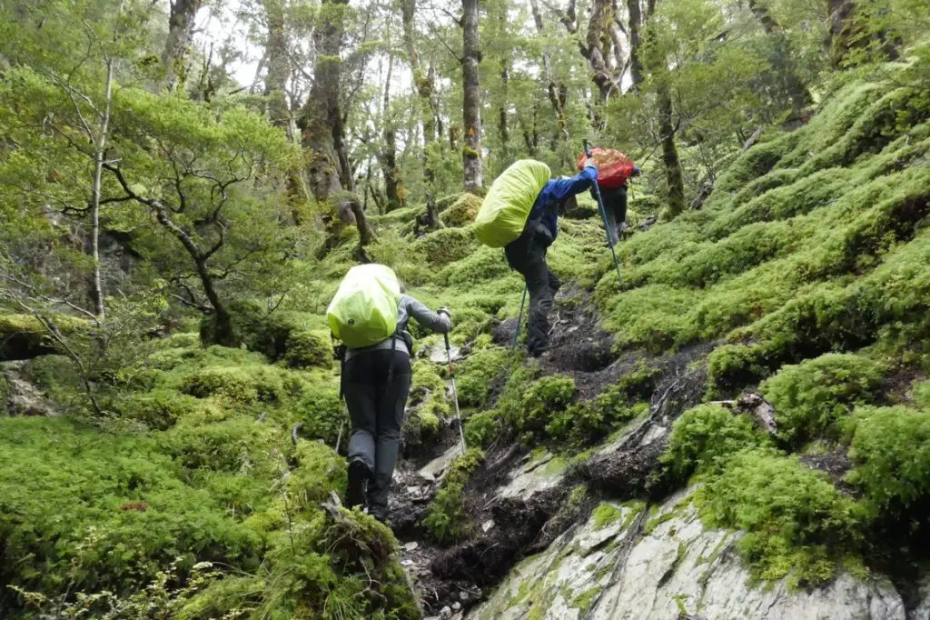 ascension pour atteindre le sugarloaf Pass en Nouvelle-Zélande