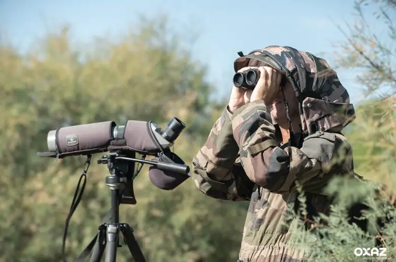 Comment bien s'équiper pour observer les oiseaux