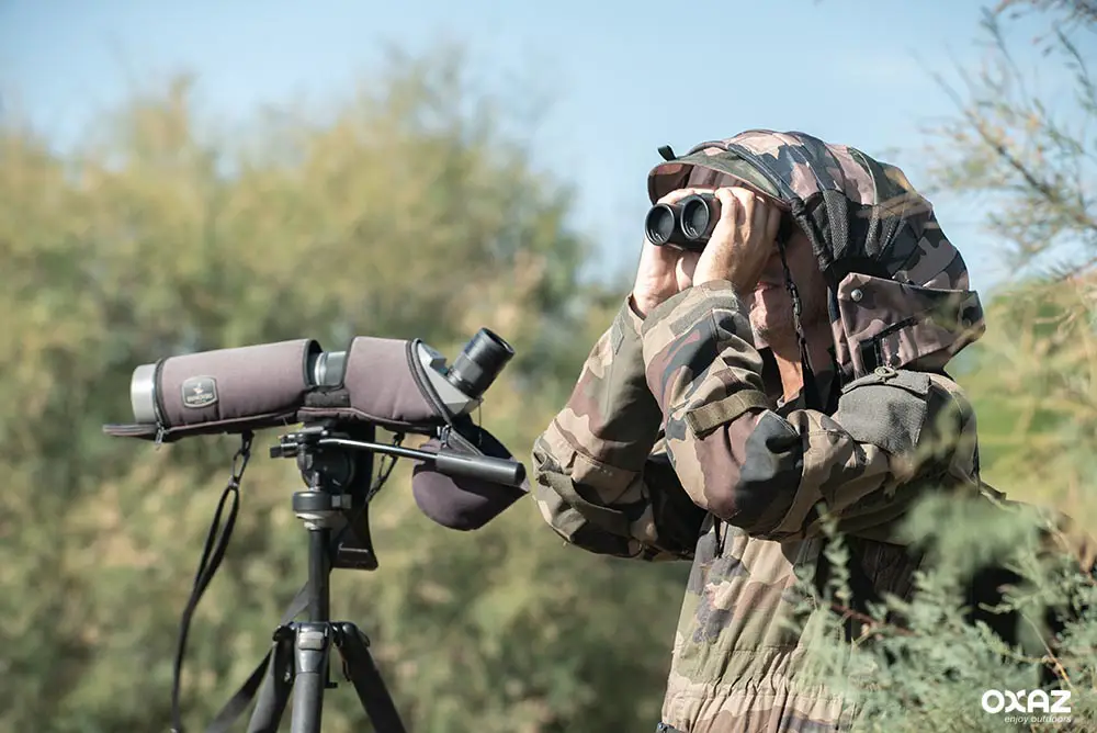 observation des oiseaux ou illustration vectorielle plane d'ornithologie.  la femme a un passe-temps respectueux de l'environnement, une activité de  plein air, un tourisme local, des loisirs, des randonnées, l'observation  des oiseaux. 8416832