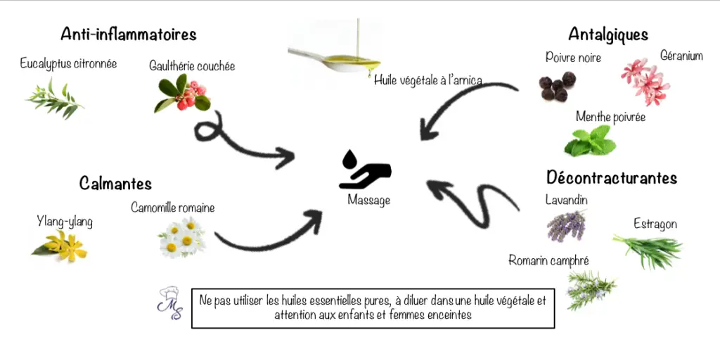 Fiche synthétique sur les huiles essentielles pour la récupération en escalade.