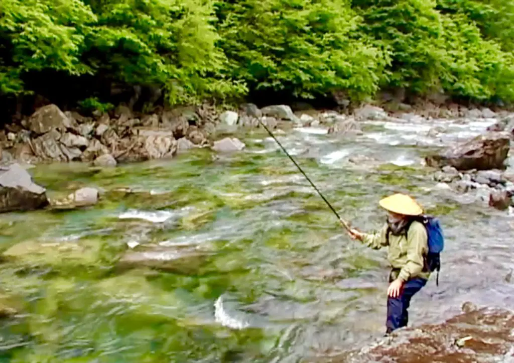 Le tenkara est une technique ancestrale japonaise de pêche à la mouche