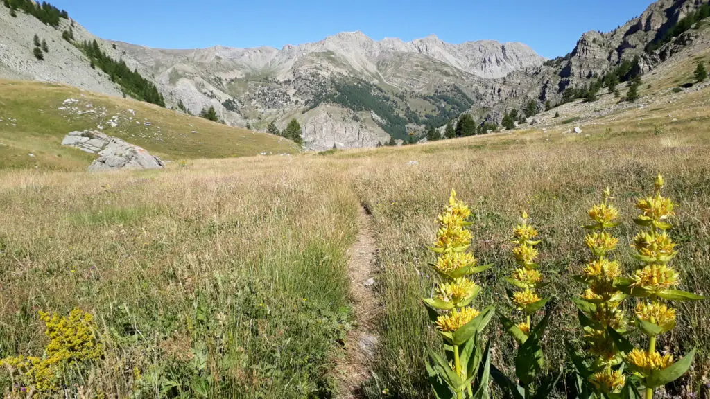 prairies désertes à perte de vue