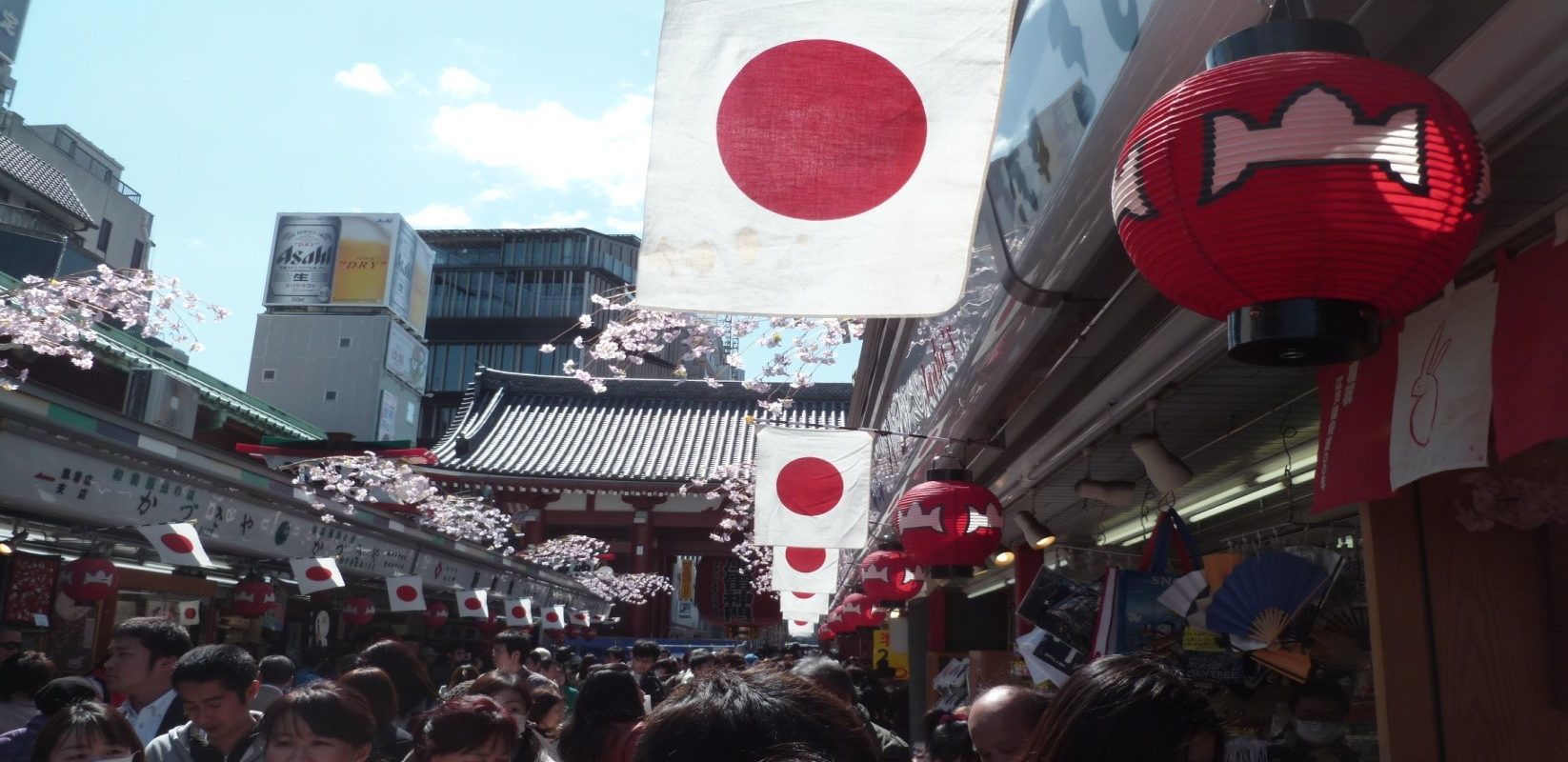 voyage au Japon pour découvrir l'archipel Japonaise