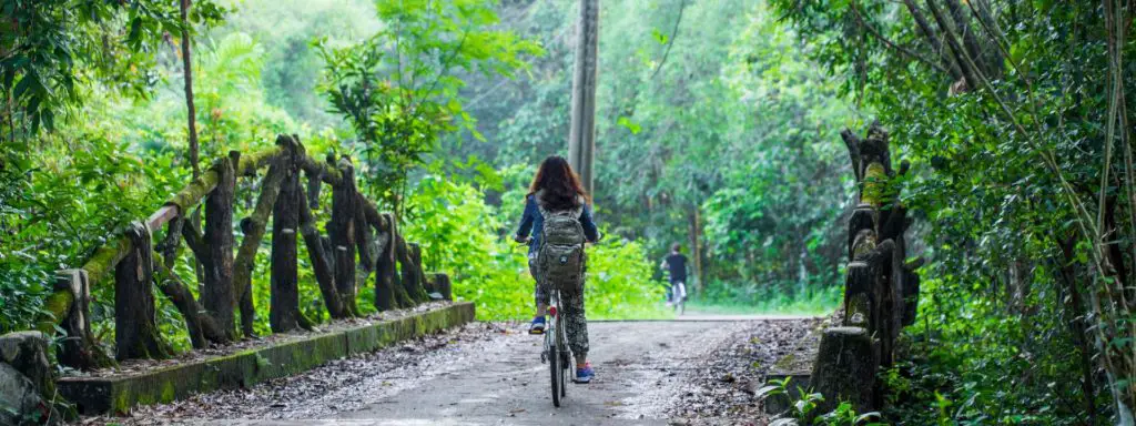 le parc national de nam cat tien au vietnam