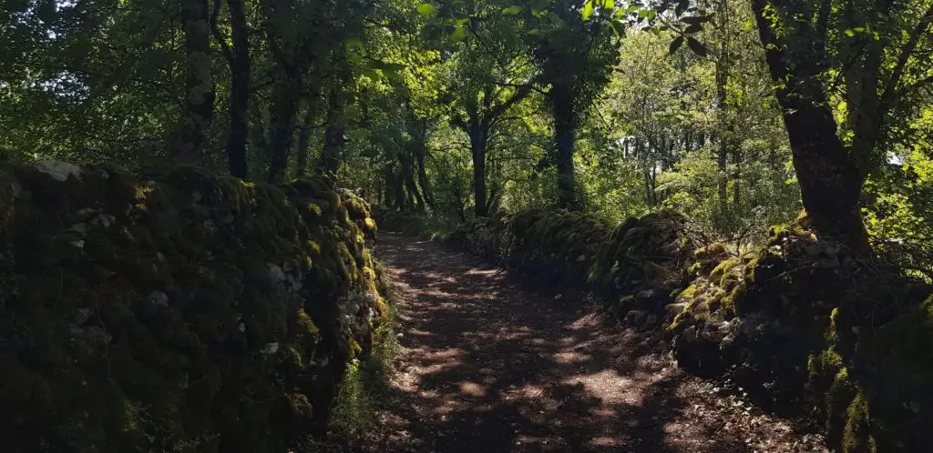 Chemin typiques du Causse Lotois