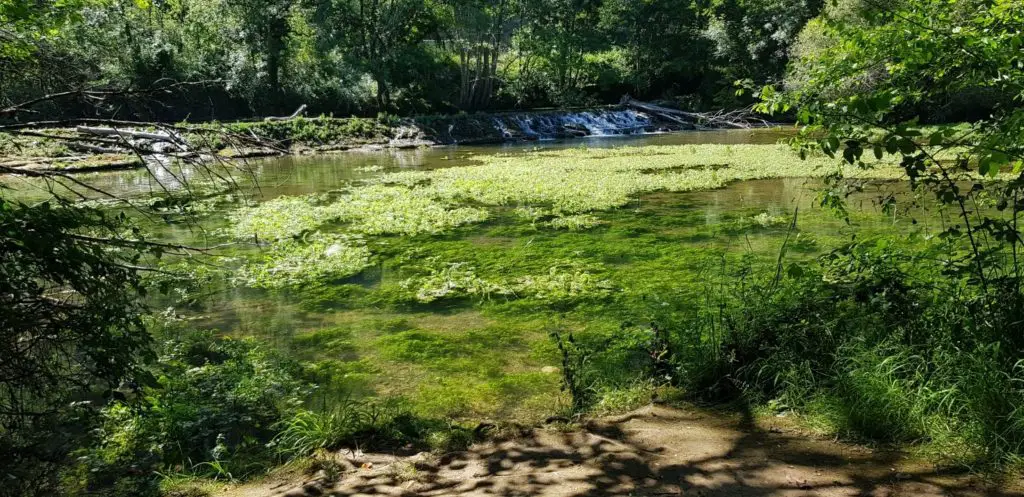 Rive de l’Ouysse dans le lot