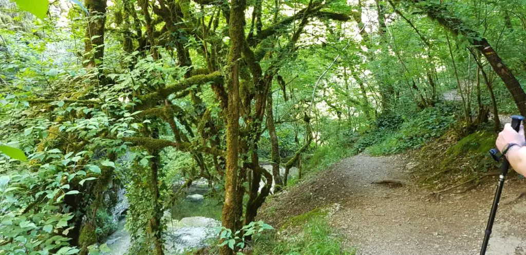 Ruisseau de l’Alzou dans le lot