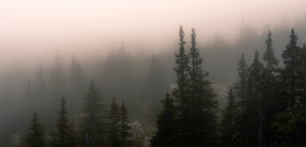 Ambiance bouillard sur les montagnes du Vercors