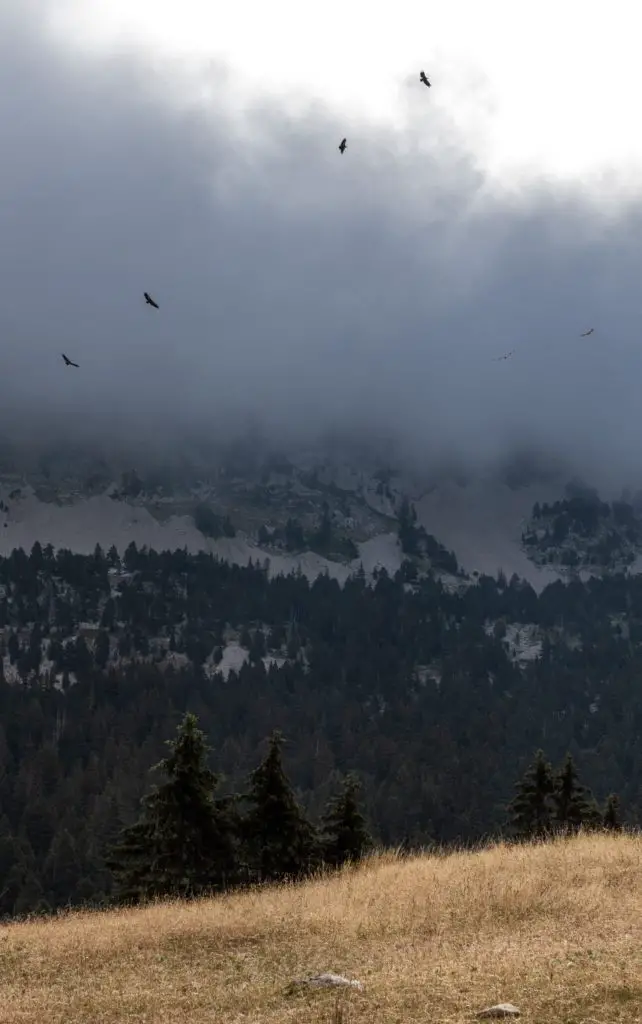 Nuages sur les hauteurs du Vercors