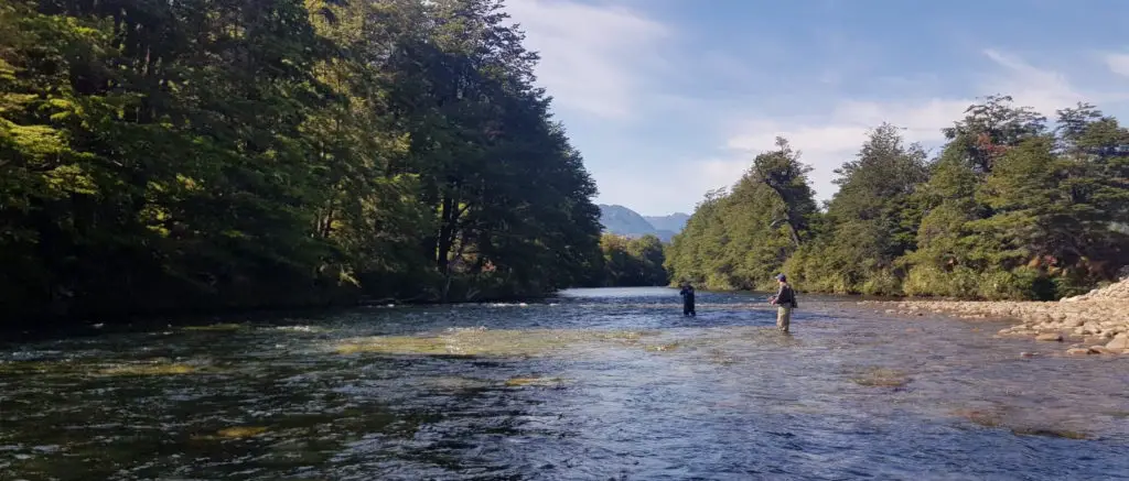 de beaux plats sur les belles rivières à truite de Patagonie au chili