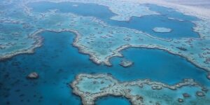 Découvrir la barrière de Corail