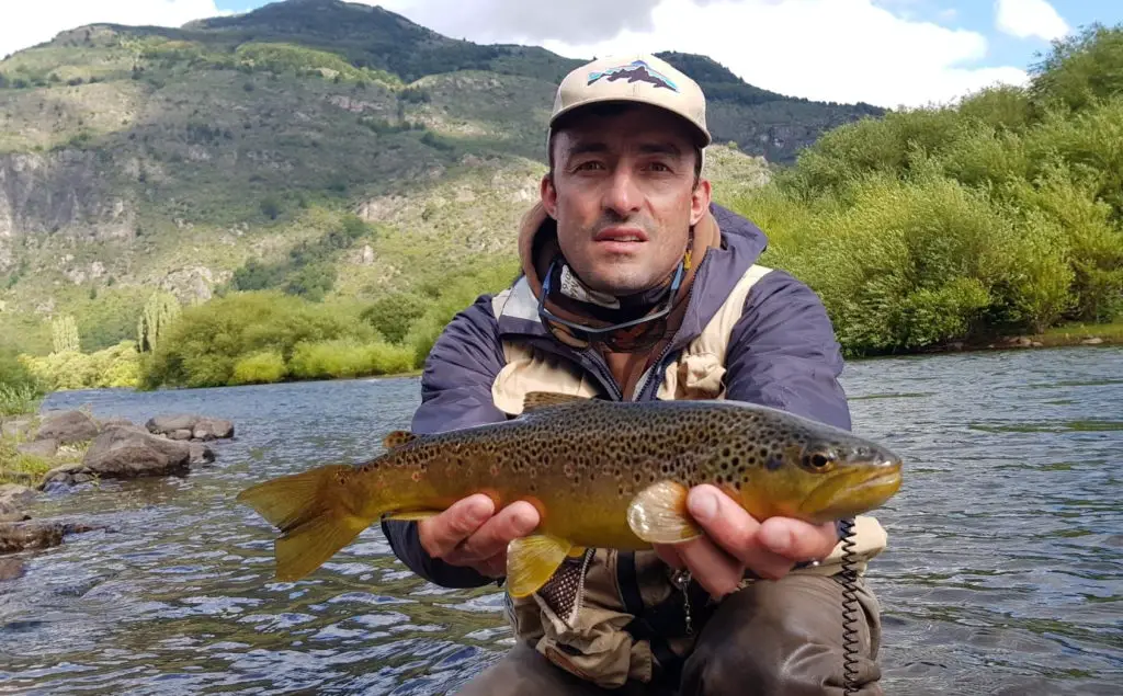 dernière truite pêchée au chili dans les rivières de patagonie