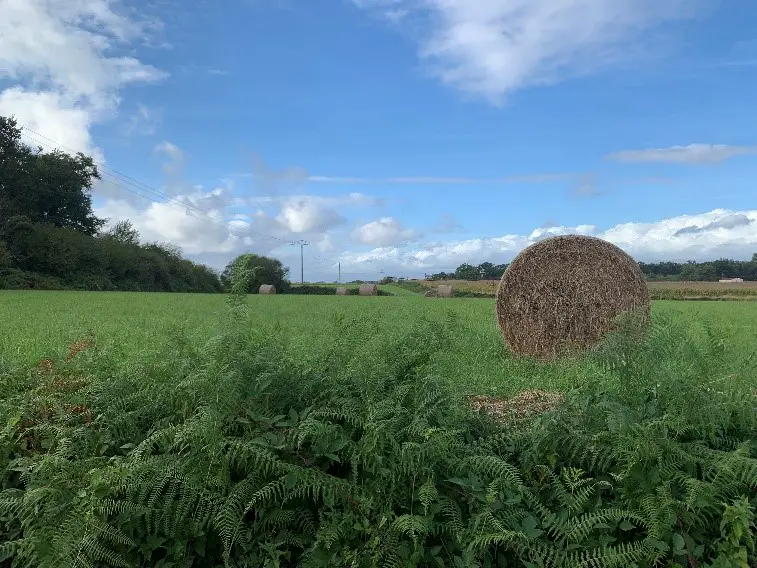 La magie de Béarn proche d’Arzac.