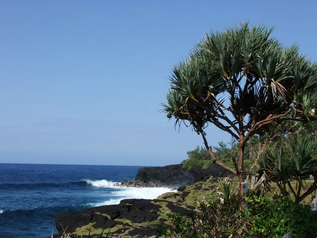 La Réunion merveilleuse destination pour des vacances en novembre