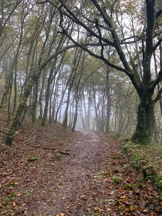 La traversée des Pyrénées.