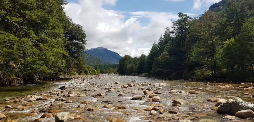 rivière à truites en patagonie chilienne