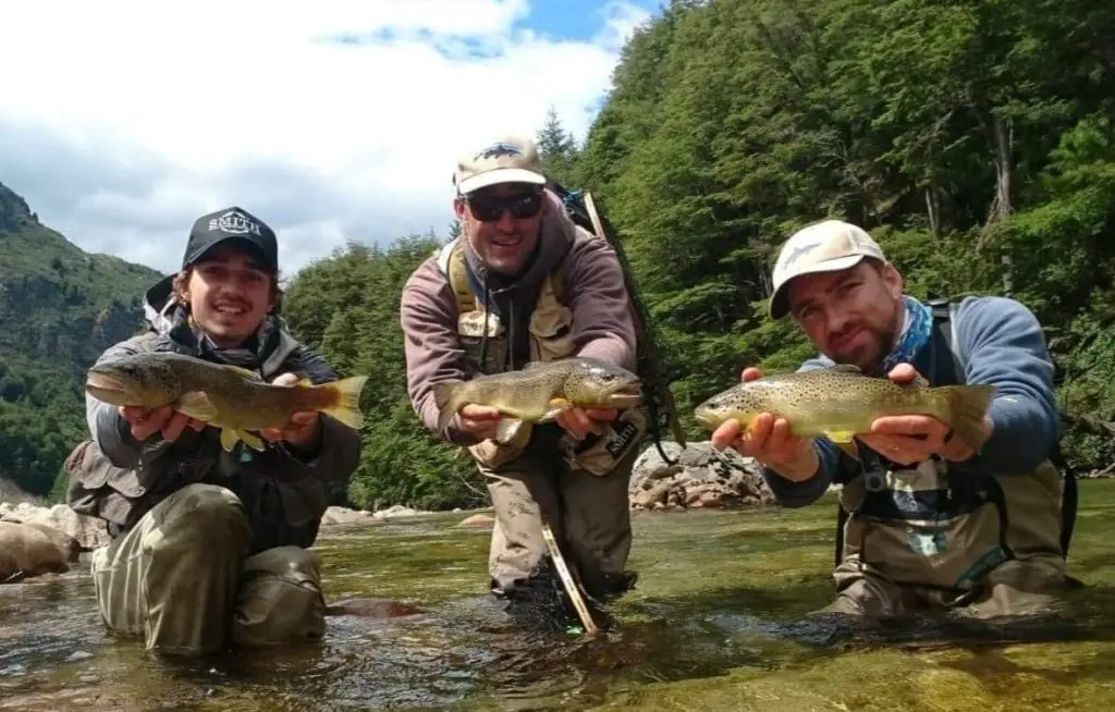 triplé de truites sur cette rivière de patagonie chilienne