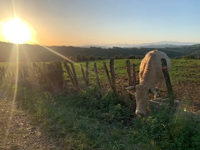 Un lever de soleil à l’approche des Pyrénées.