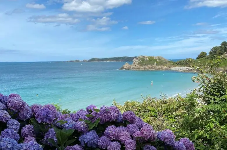 Mer émeraude et hortensias, aux alentours de Perros Guirec.