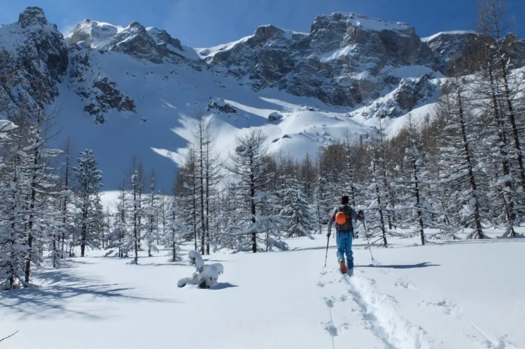 Rémi au milieu des mélèzes sur le plateau suspendu au-dessus de la forêt près de Ceillac