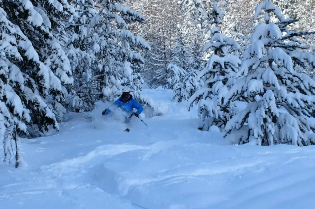 Session poudreuse dans les sapins du queyras