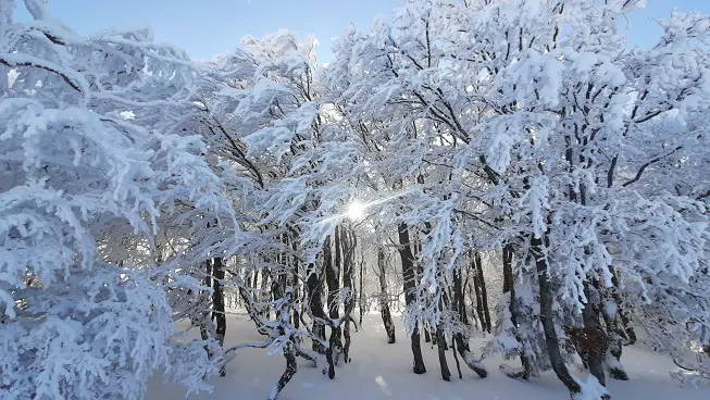 Ambiance polaire au Mont aigoual