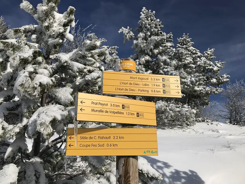 Arrivée au point sublime au pied du mont aigoual en raquette à neige