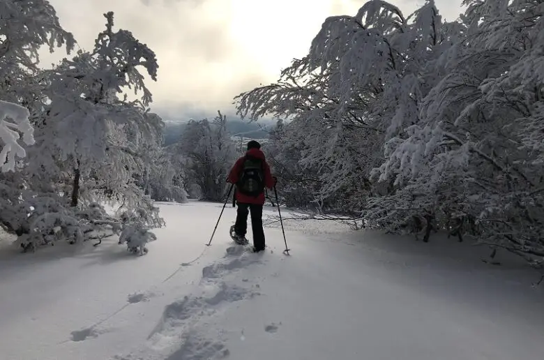 Bien choisir ses raquettes à neige