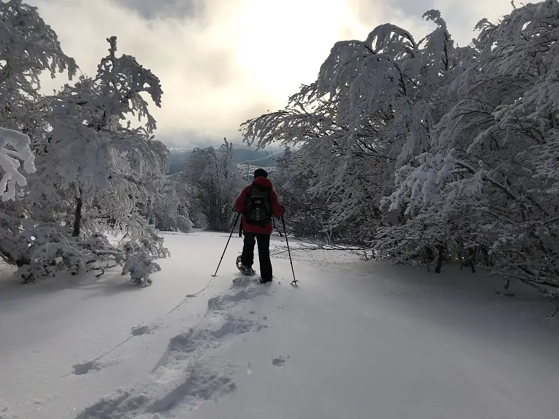 boucle à la journée raquette à neige au Mont Aigoual