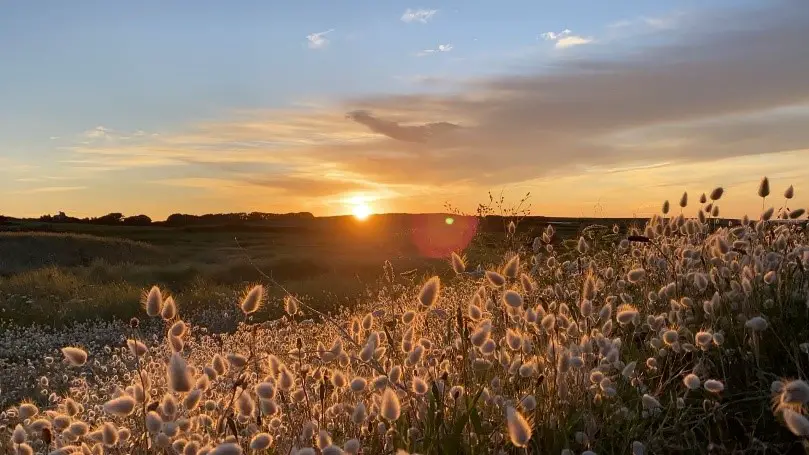 Coucher de soleil sur l’île de Batz