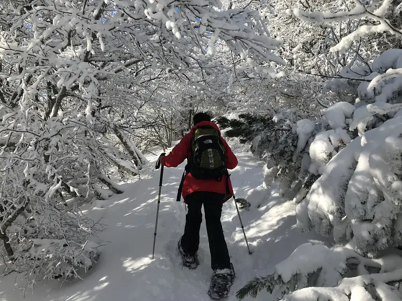 dernière montée en raquette à neige vers la station météo