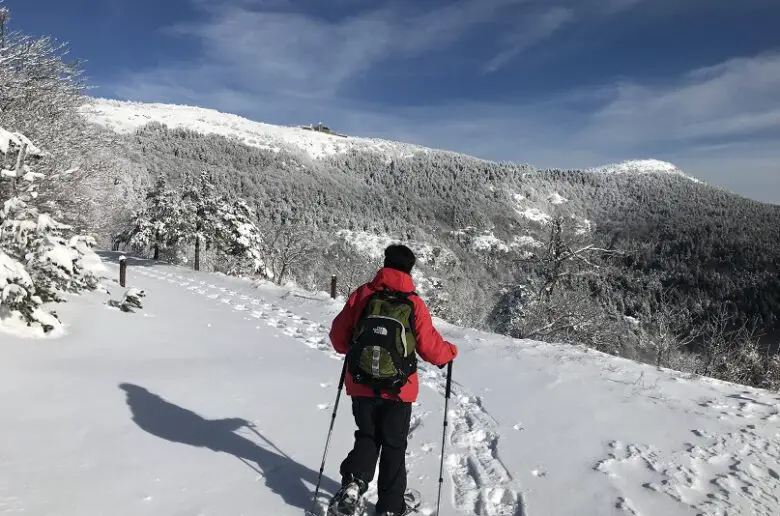 Journée randonnée raquette à neige au Mont Aigoual