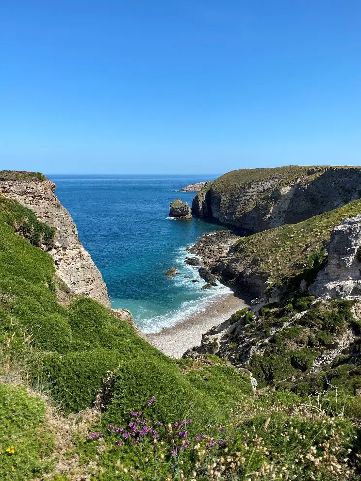 La beauté des environs du cap Fréhel entre mer et bruyère.