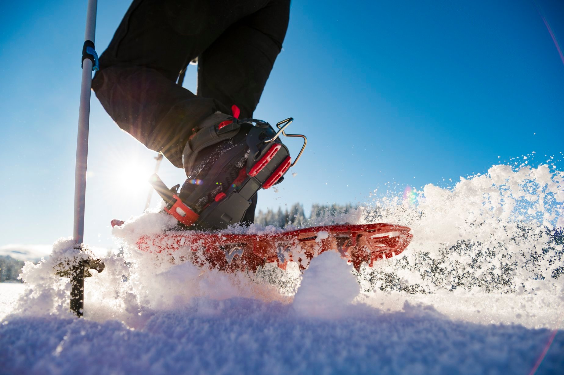 Comment choisir ses raquettes à neige ? Le guide complet