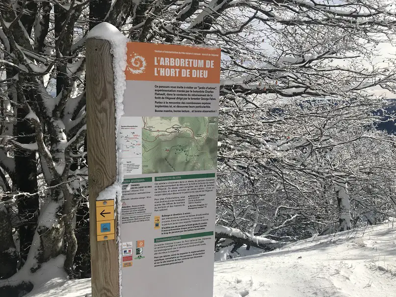 l'arboretum de l'hort de dieu au Mont aigoual