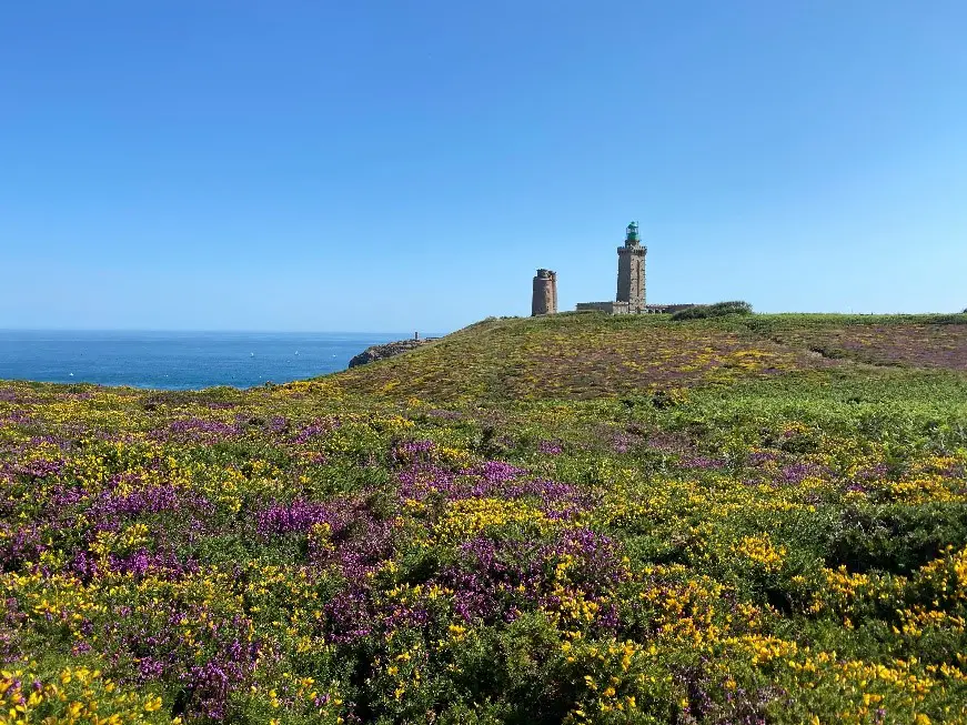 Le cap Fréhel sur le GR34