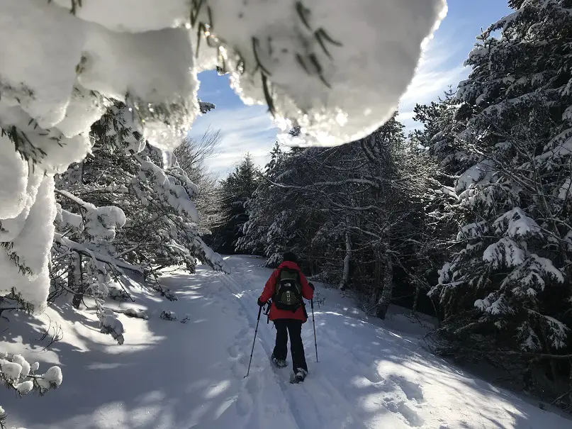 marche dans une forêt enneigé des cevennes