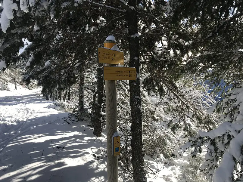 Monté au sommet du Mont aigoual en raquette