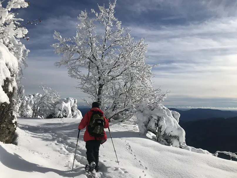 paysage enneigée au dessus de la mer au mont aigoual