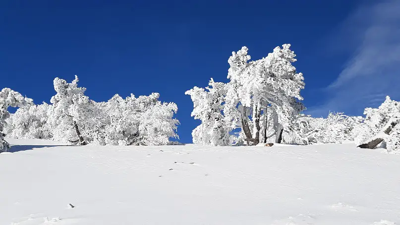 Paysage polaire à l'aigoual