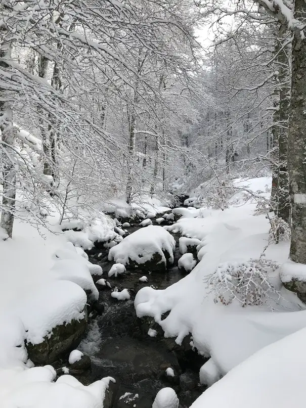 paysage sous la neige au mont aigoual